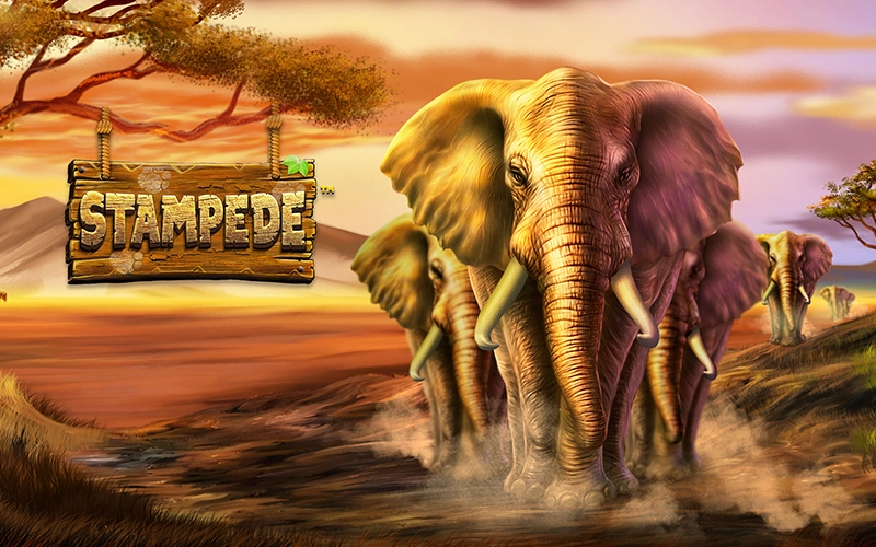 Explore the exciting Stampede slot at Win Unique Casino.