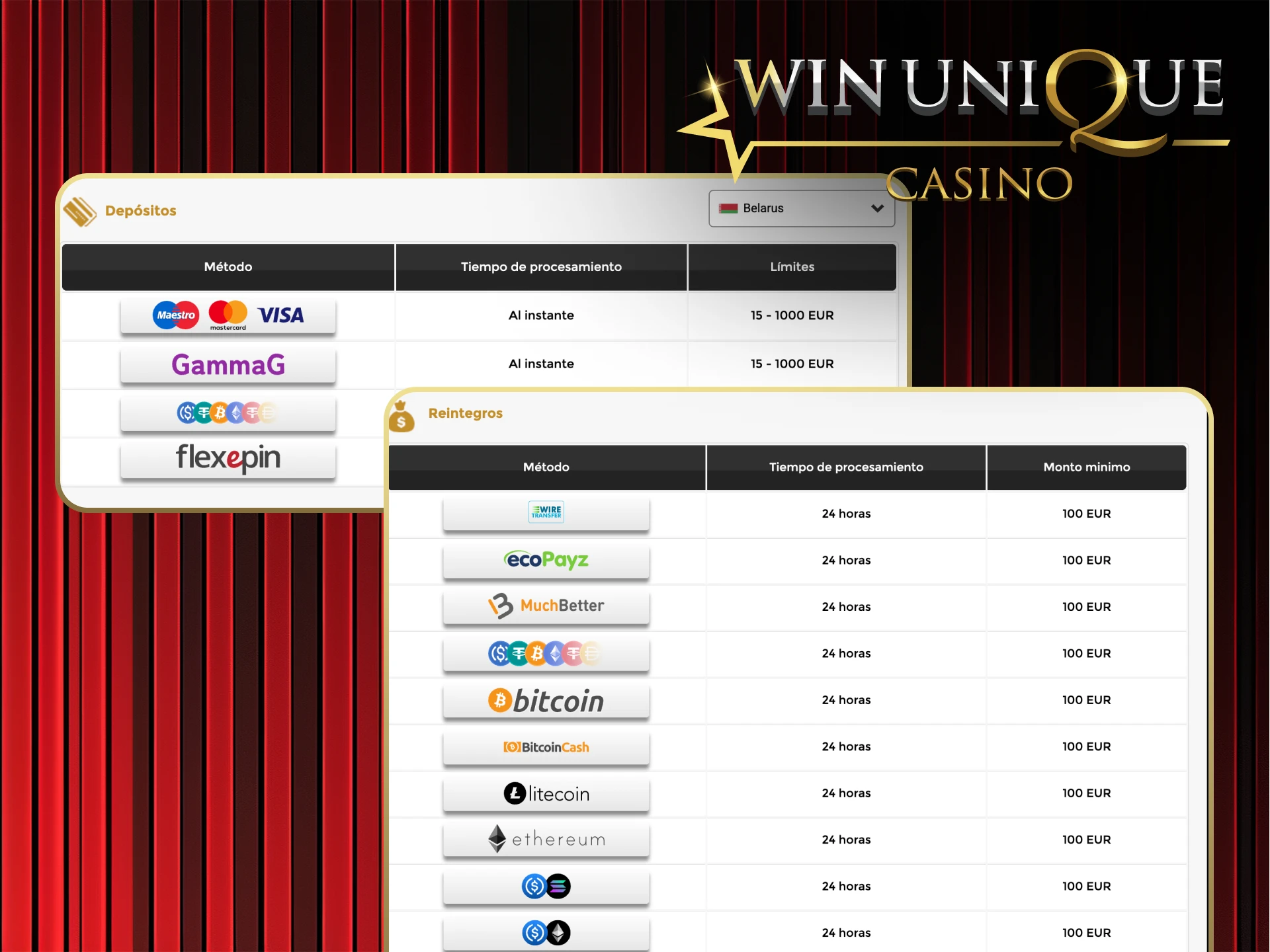 Realice transacciones rápidas y seguras en Win Unique Casino.